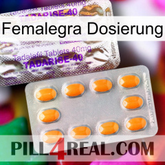 Femalegra Dosage new12